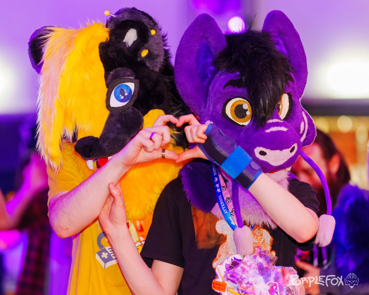 Kypari Noodl 💜 🔜 CFz tweet media