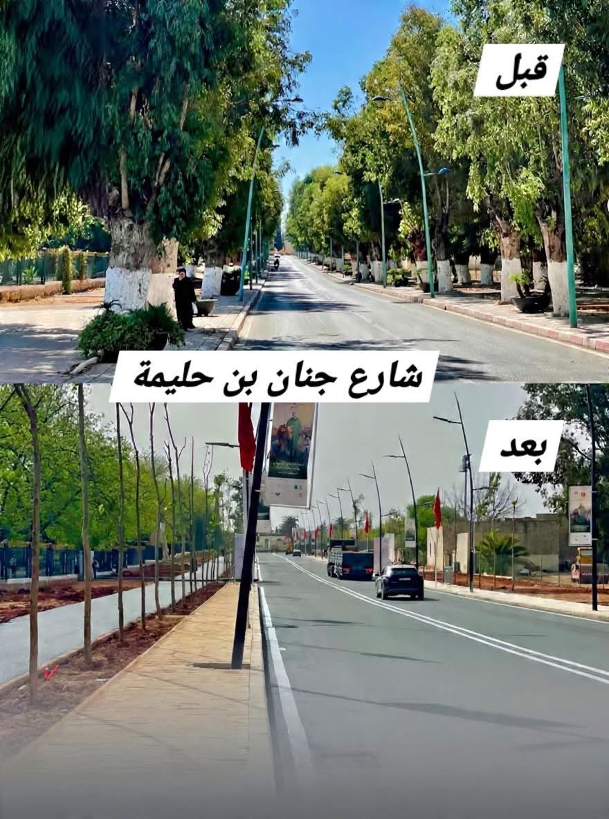 moroccoprojects مغرب المشاريع tweet media