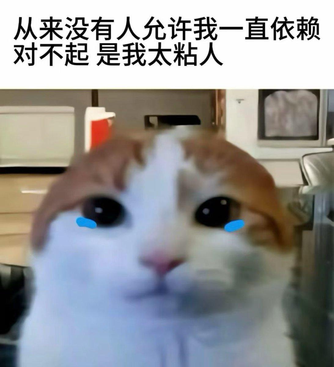 发现男朋友为爱做0雨夜出走的那个晚上 tweet media