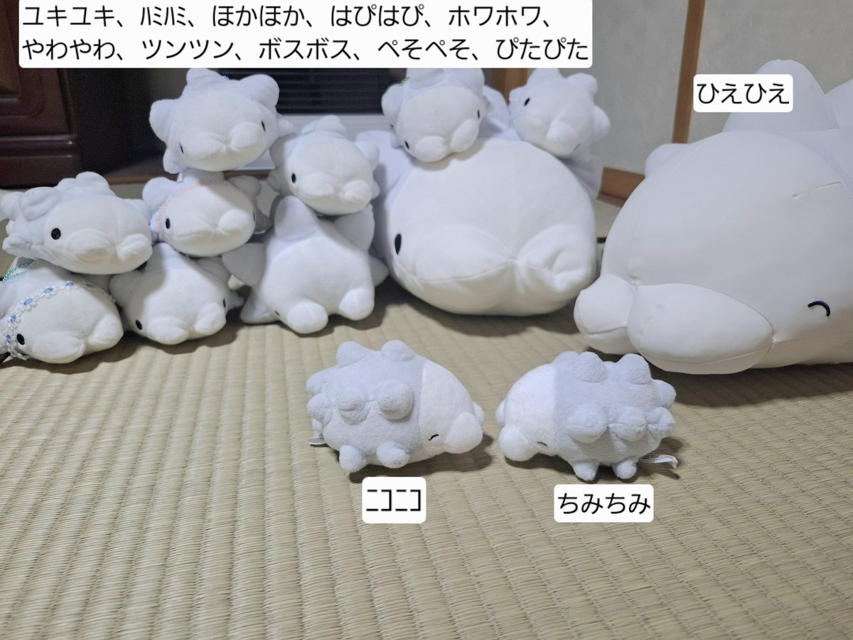 なんか前に画像でちらっといたけど、新しい子が増えました！！

ﾆｺﾆｺのお友達、ちみちみだよ！！(˙꒳˙ )

ユキハミ増えすぎたので一括で名前書きました(˙꒳˙ )

(･⊃⊂･)ｶｵｽﾀﾞｰ