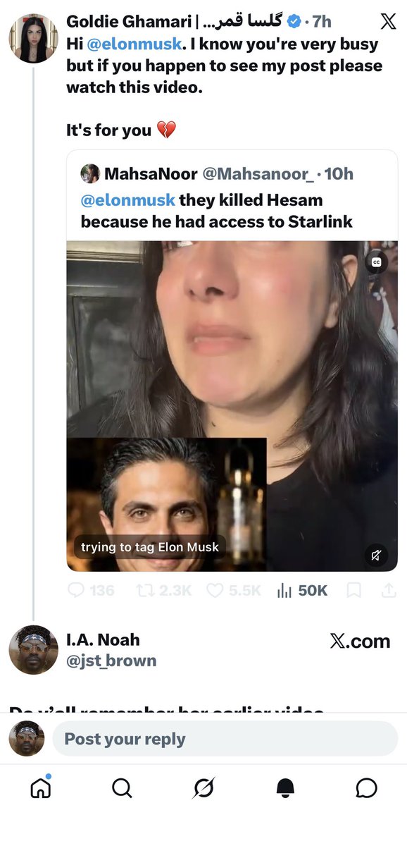 I.A. Noah tweet media