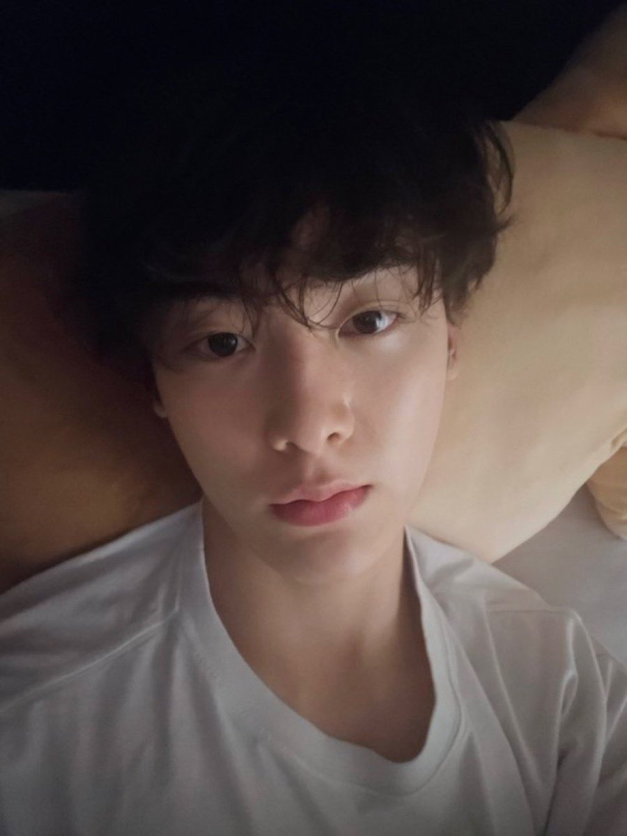 콩딴 tweet media