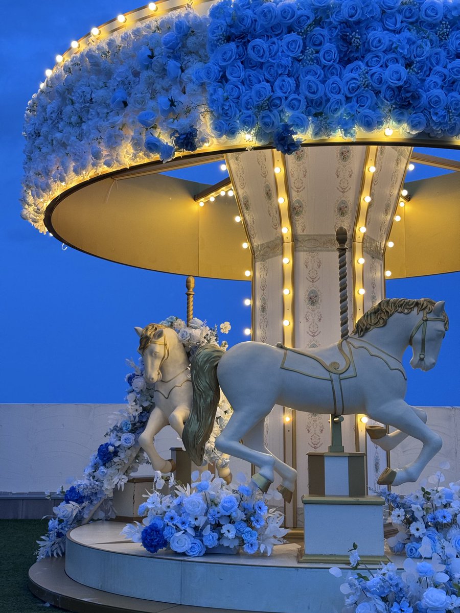 ルーフコロル🎠 tweet media