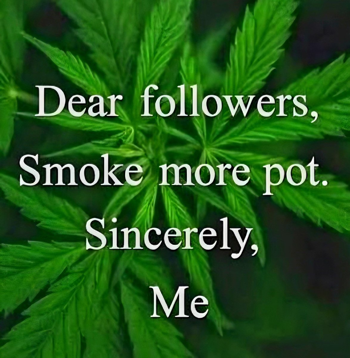 Medical Grower 420 🇺🇸 tweet media