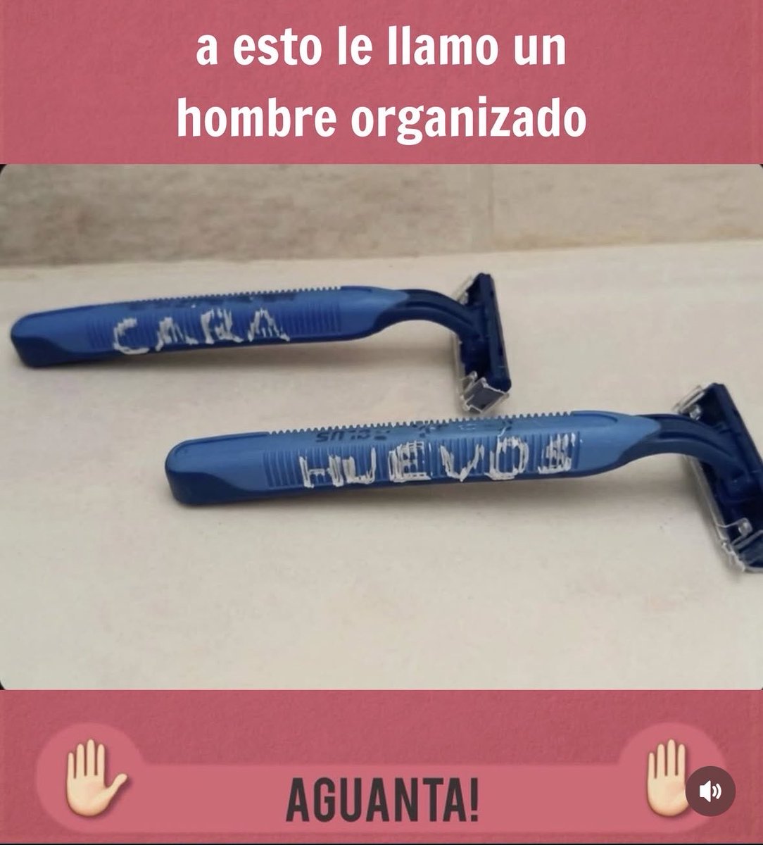 NiKi 🦋🍀🇦🇷 tweet media