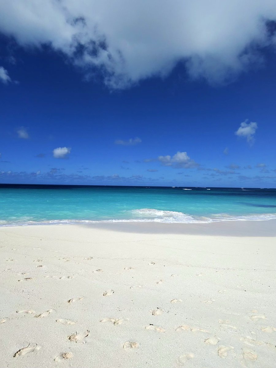 Anguilla’s Very Own tweet media