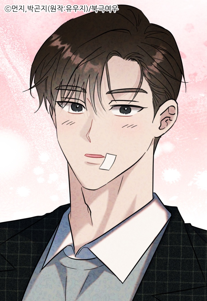 북극여우 만화 tweet media