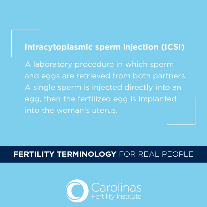 CFIFertility's tweet image. At CFI, we're working to make the language of fertility medicine more accessible to our patients. Today, we're focusing on the term "intracytoplasmic sperm injection" or ICSI. What is it and why is it relevant? #infertility #fertilityjourney