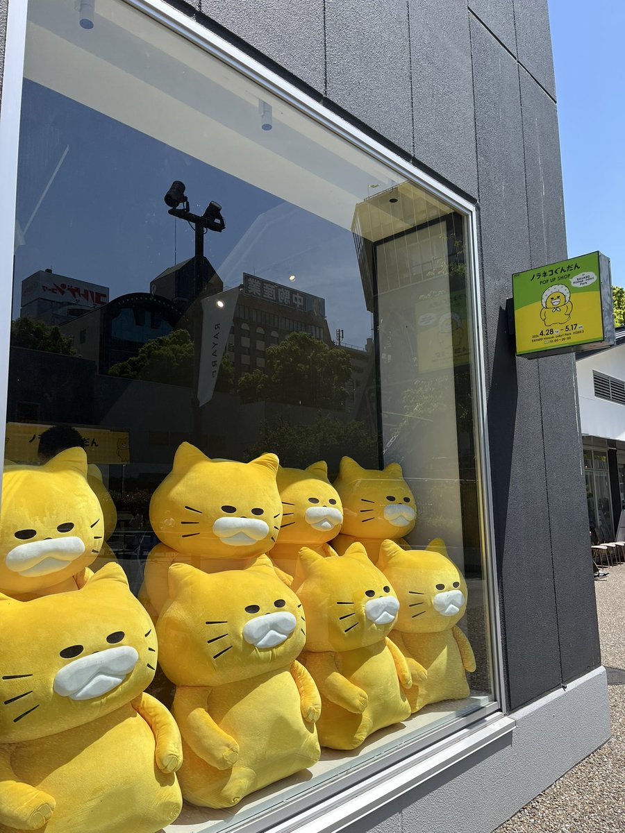 チュチチッ！ tweet media