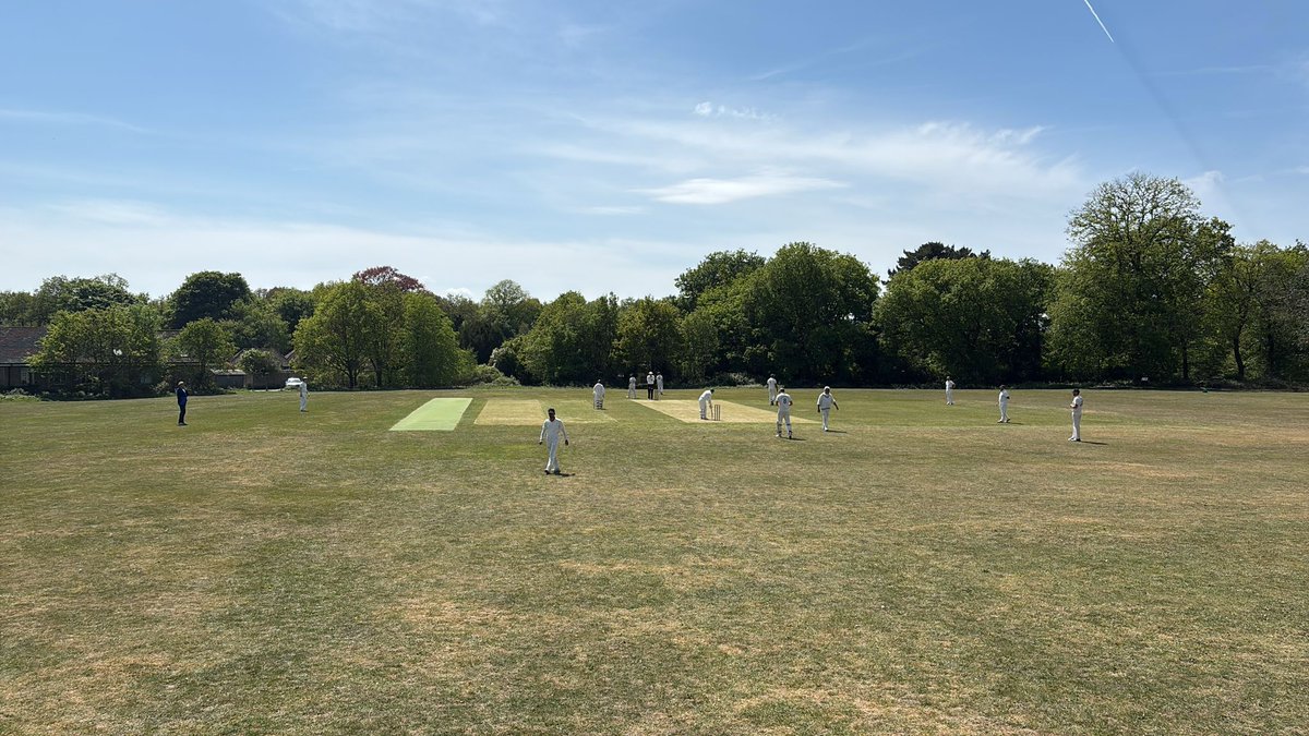Limpsfield Chart Cricket Club tweet media