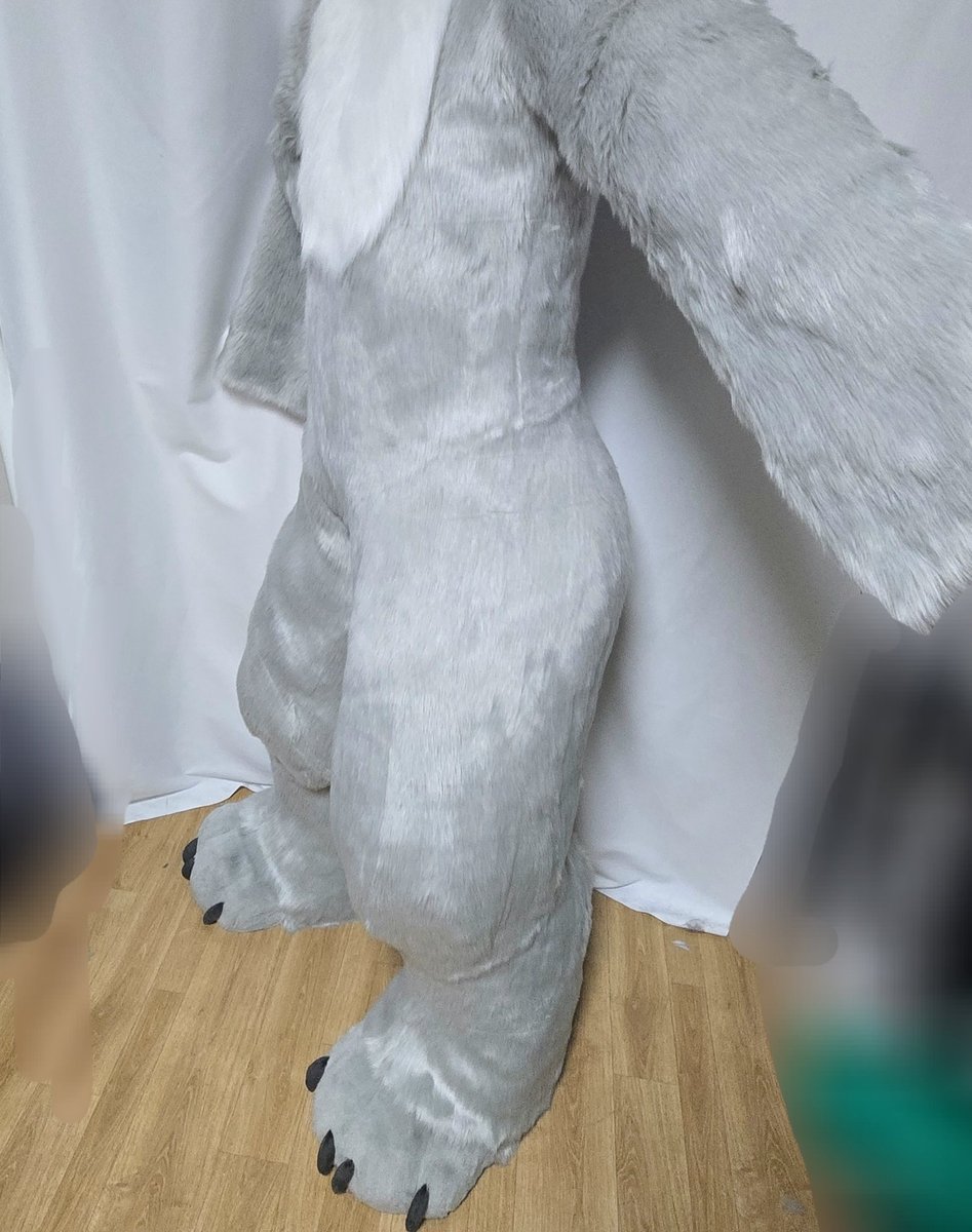 BINARI FURSUIT tweet media