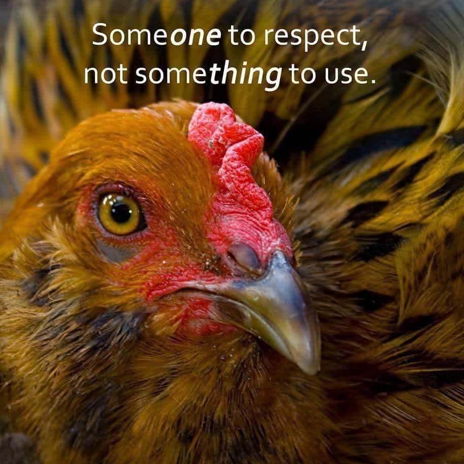 Ruth Arnone (@rutharnone) on Twitter photo 