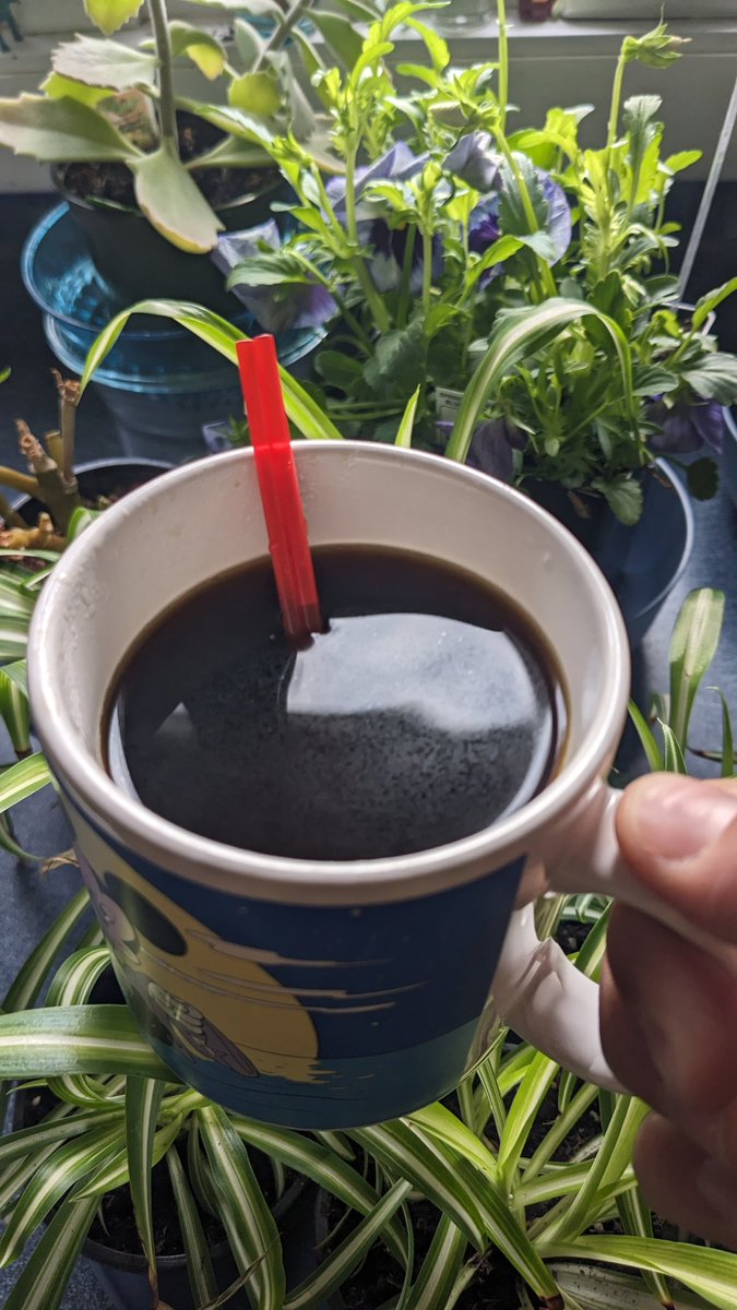 Sminichino1970's tweet image. Good morning everyone! Happy #Saturday  #TwoRedStirrers   #BeKind #Karma  ☕❤️🌞 #GoodBetterBest 
Have an amazing weekend everyone! 🎉🎉