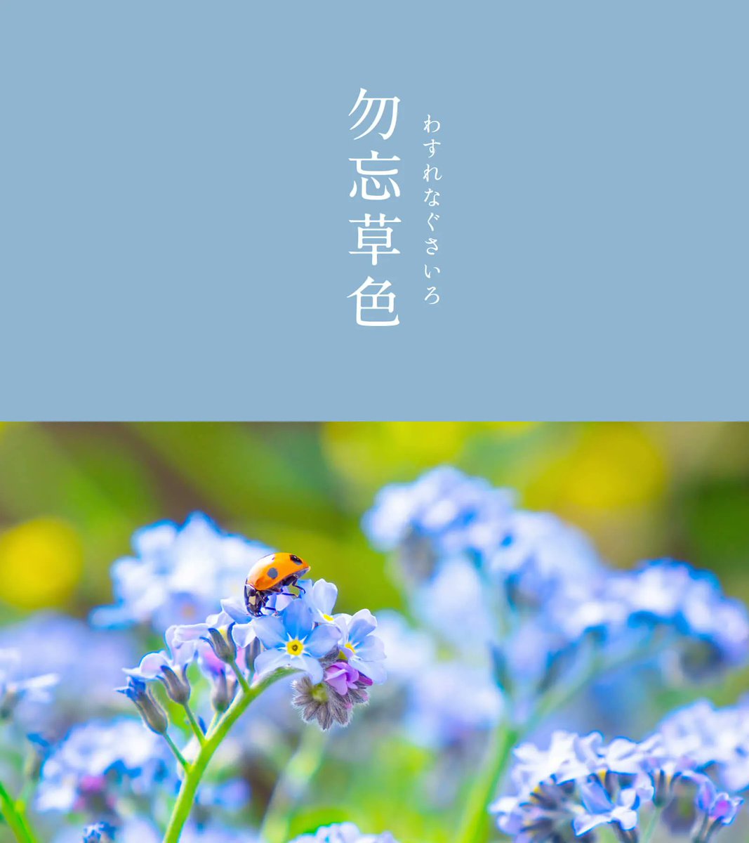 暦生活 tweet media
