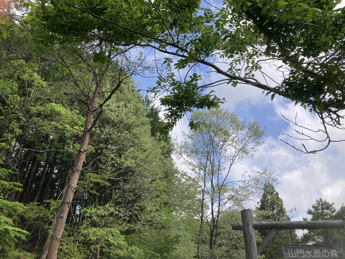 YuMi🌱 2拠点生活(日本⇄カナダ) tweet media