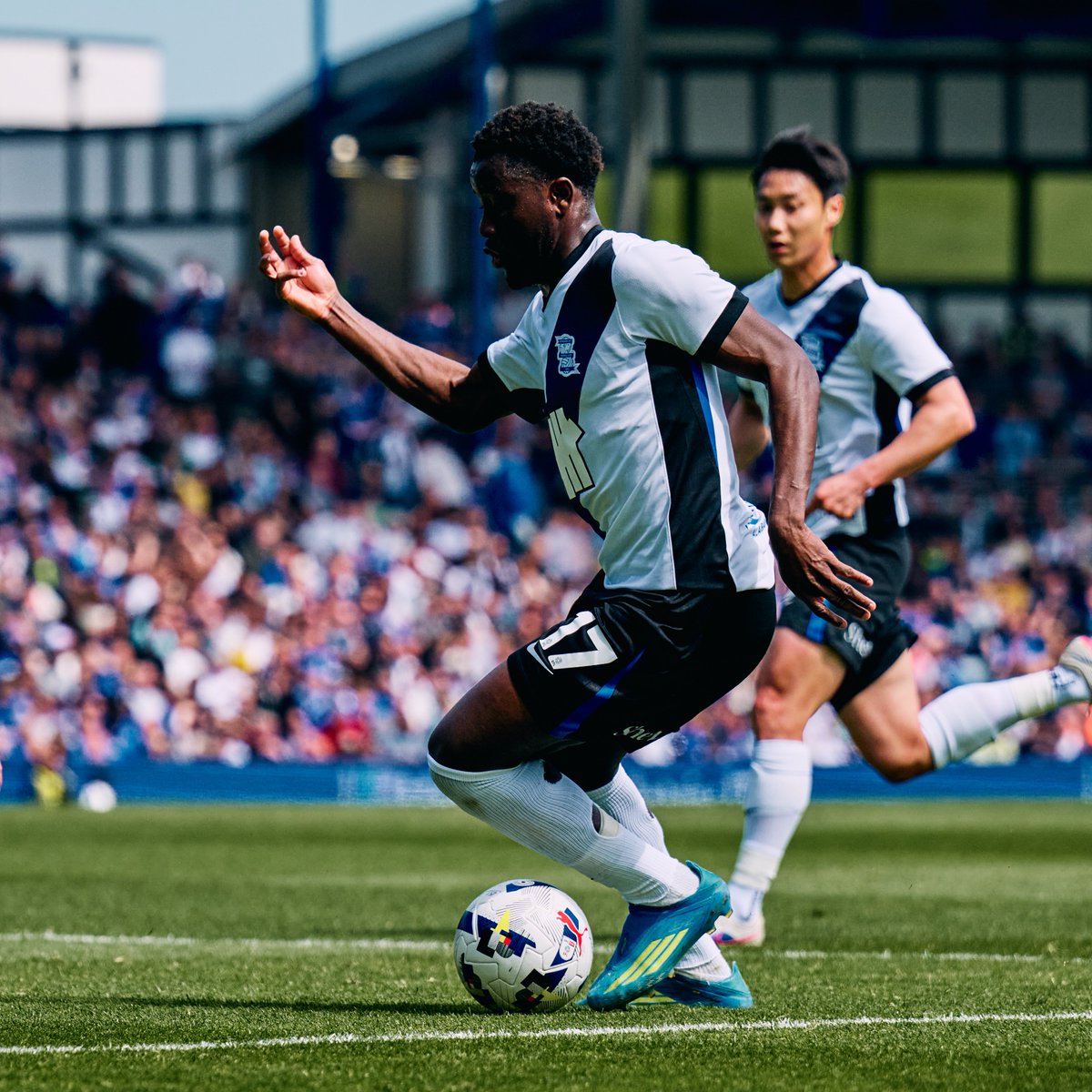 Birmingham City FC tweet media