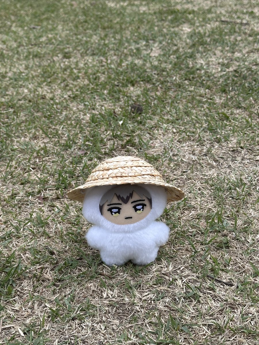 HoYa tweet media