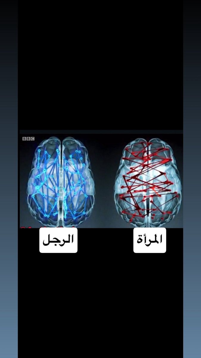 هبّاب tweet media