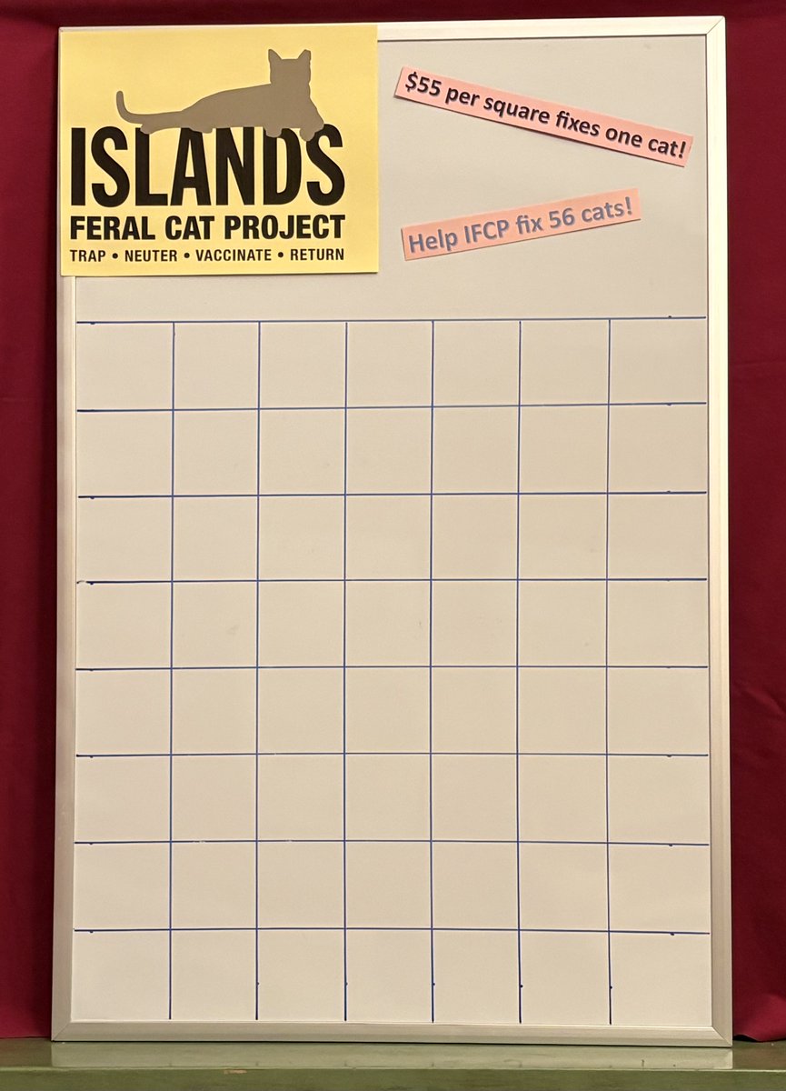 Islands Feral Cat Project tweet media