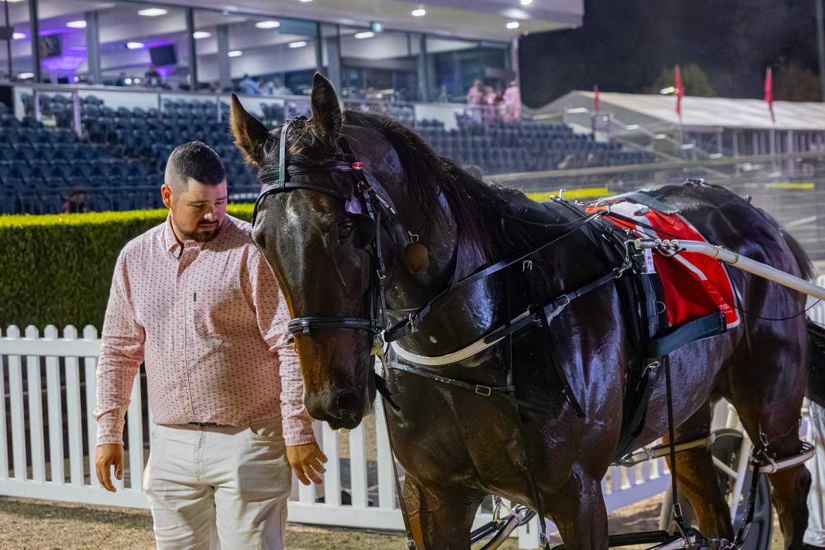 Club Menangle tweet media