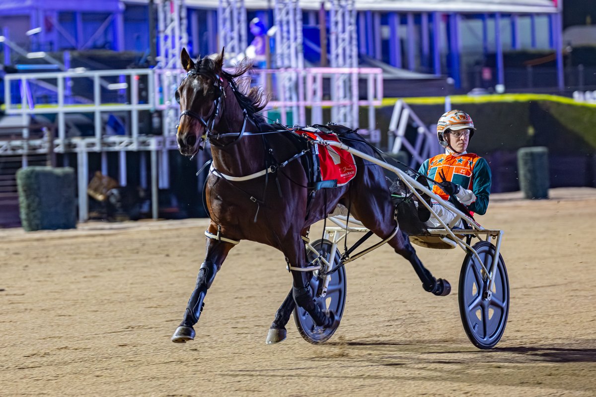 Club Menangle tweet media