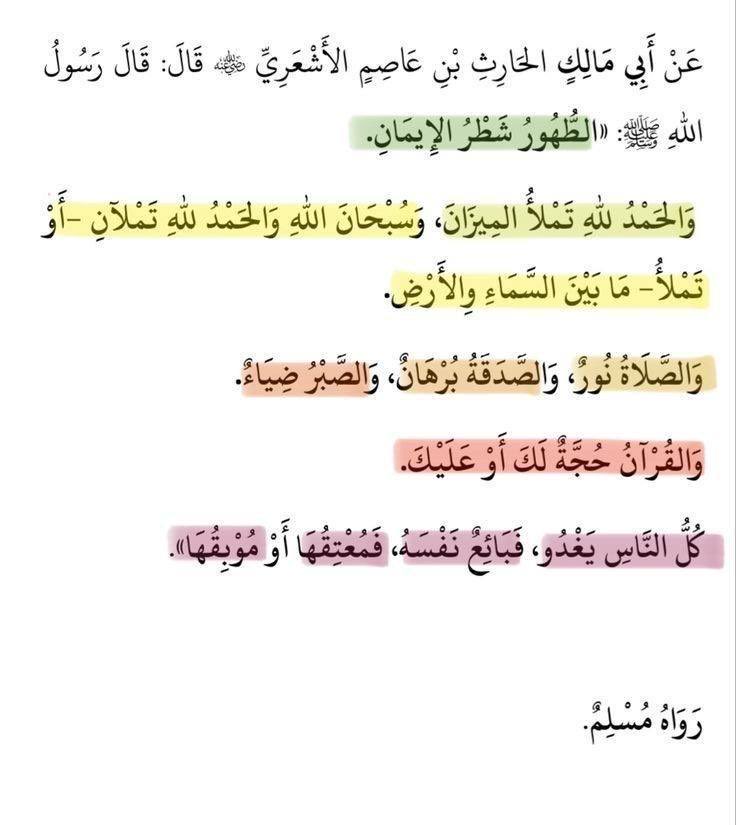 ‏ame tweet media