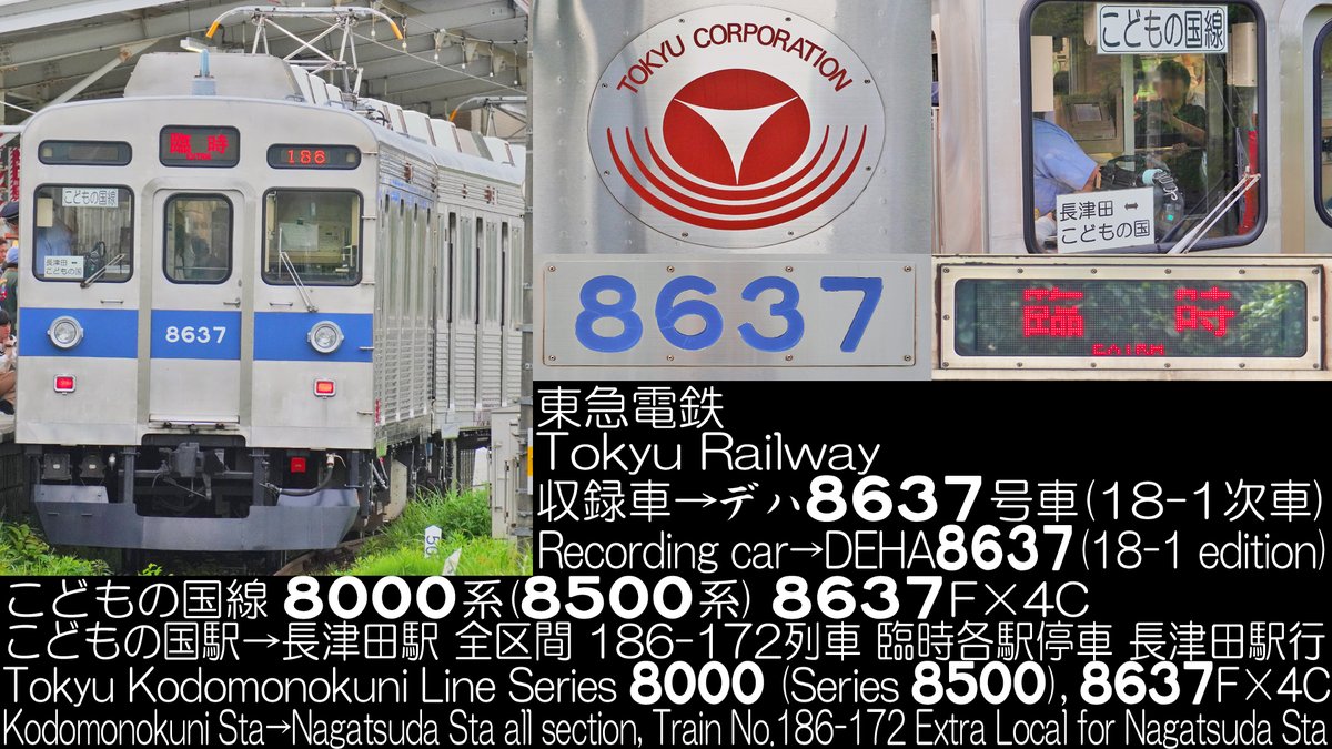 ロメロ tweet media