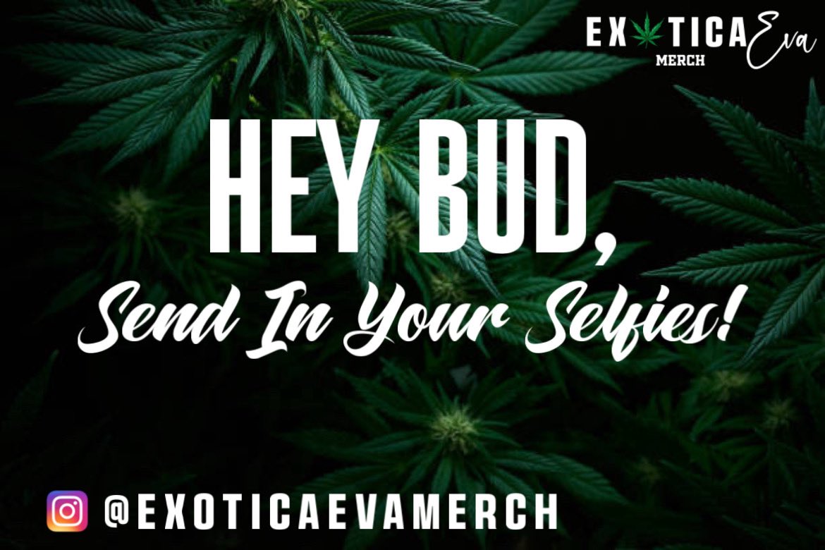 ExoticaEvaMerch's tweet image. HEY BUD, 🍃😊
HAPPY SATURDAY TO MY STONERS &amp;amp; SUPPORTERS 💜💚

If you’ve placed an order recently please kindly send a selfie 😁 via DM ! Yall don’t be shy 😅 I truly appreciate the support! 

#brand #stoner #420 #ceo