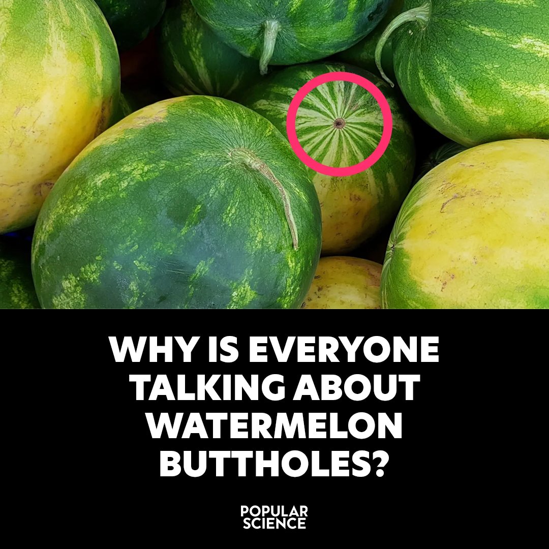 Popular Science tweet media