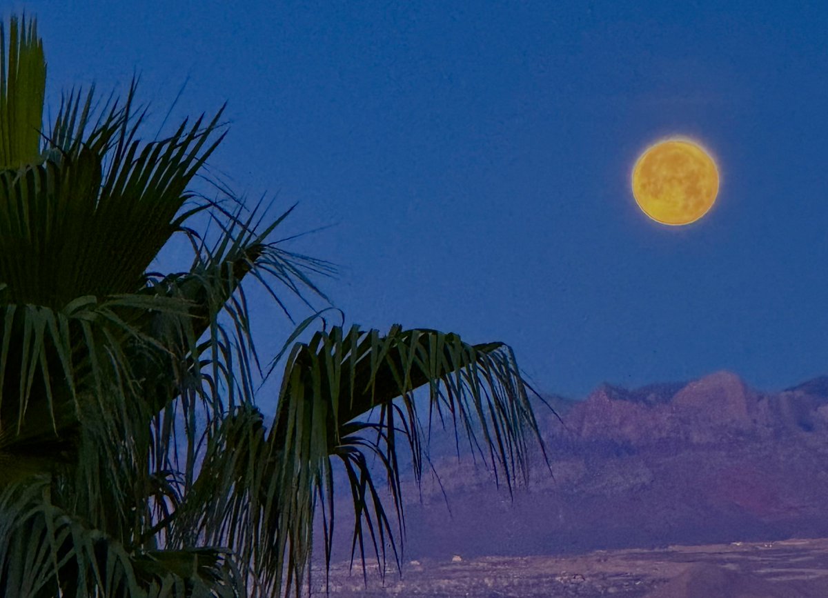 LP_LVNV's tweet photo. 5:32 Saturday morning in North #lasvegas @lasvegaslocally ⁦@just1nbruce⁩ @aliantecasino @Apple #shotoniPhone #moonset https://t.co/D4KLYubFfK