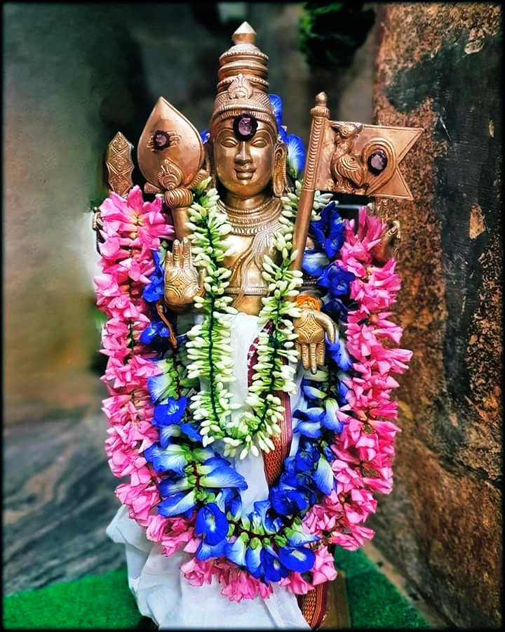 முருக பக்தர்கள் tweet media