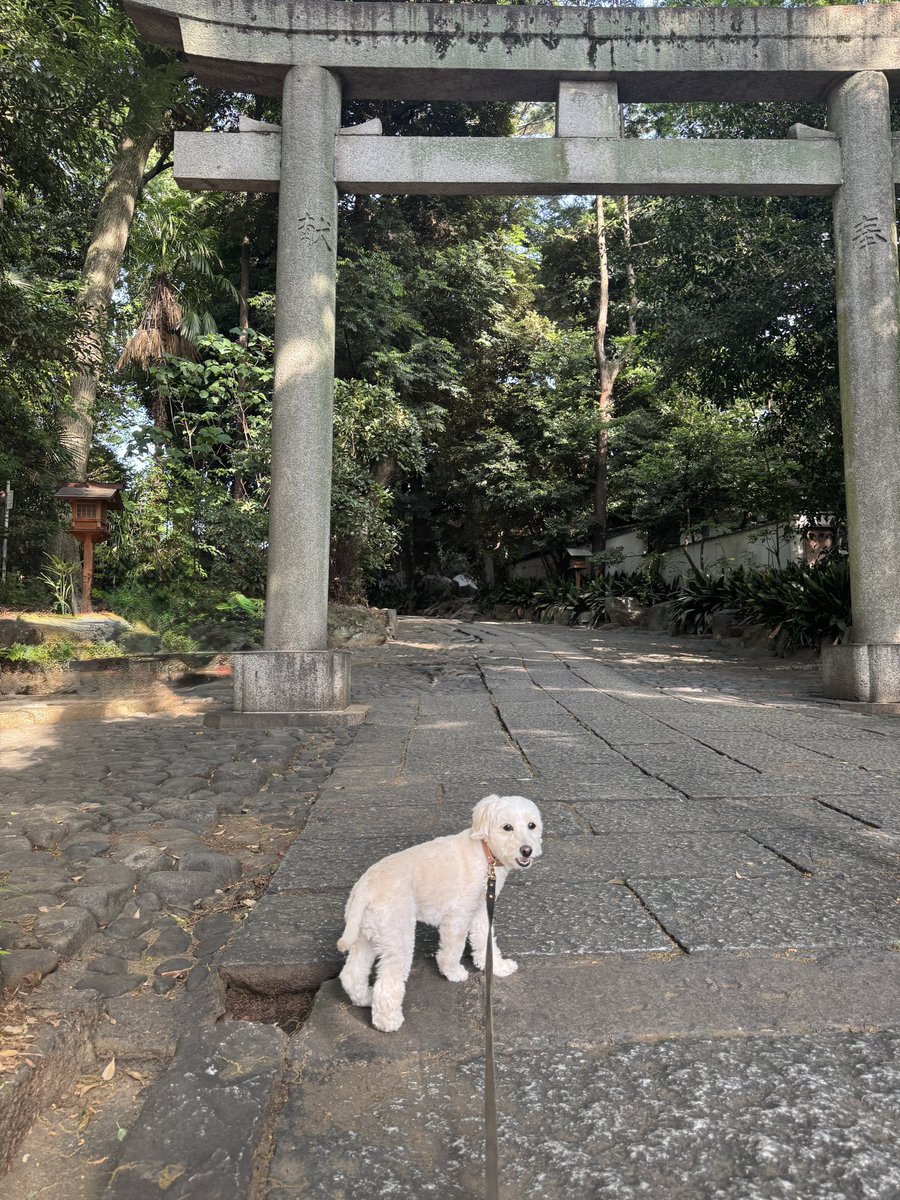 高橋薫 tweet media