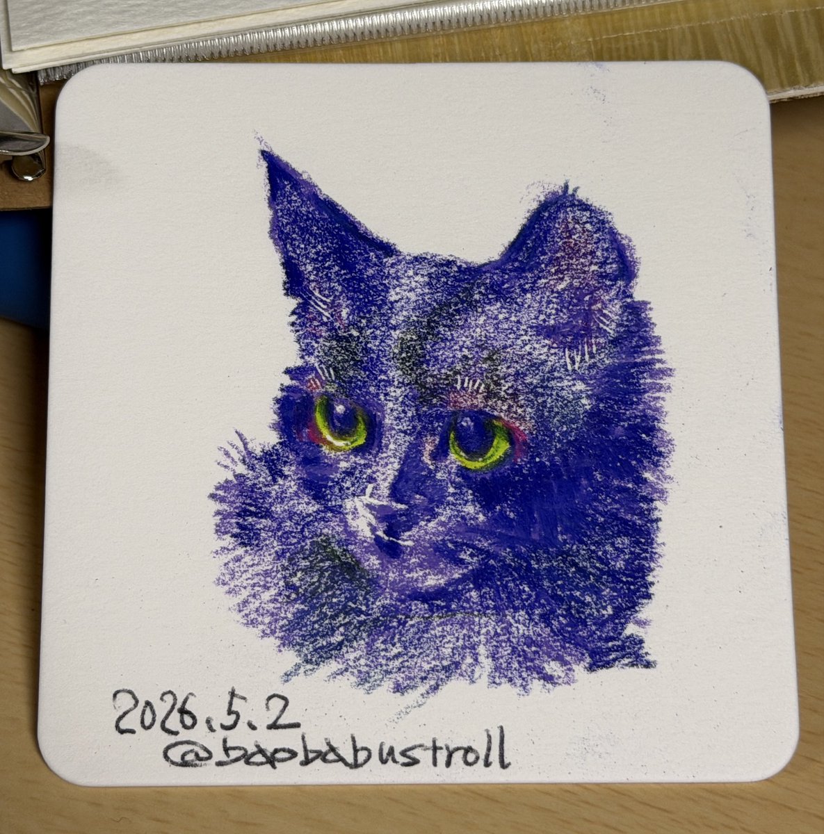 リアルな箱猫のイラスト Ｂ５サイズ 高品質のカリスマカラー使用 色鉛筆画 高い色鉛筆（カリスマカラー）だと、エグい食いついて発色する。塗り