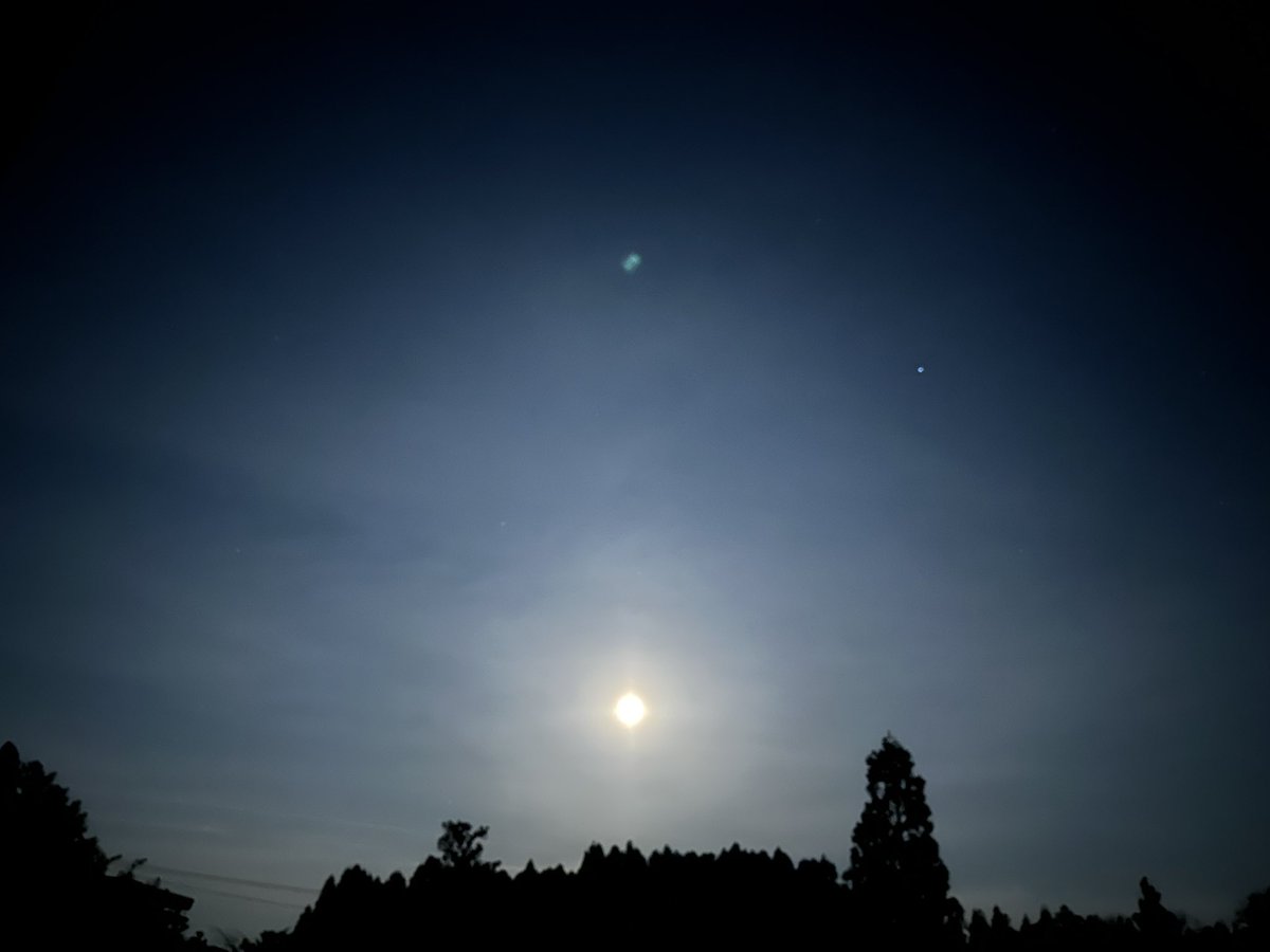 フラワームーン🌕らしいが

暗闇で森に背を向けて撮っていたところ、鳥が飛び立つ音にビックリして、🧸さんが出たら怖いから早々に逃げだして来た😅