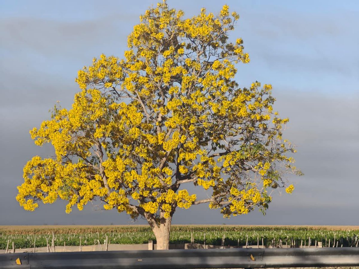 Exelente día ☕