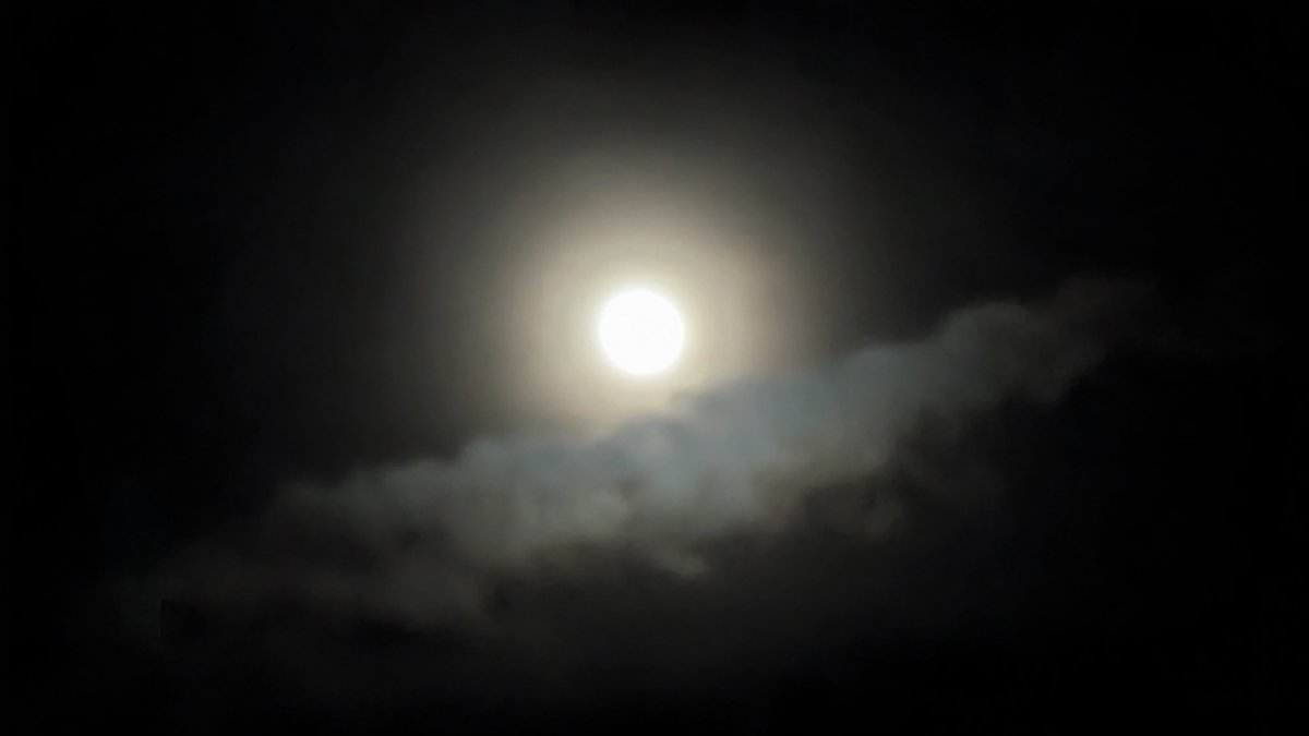 amiumi841's tweet photo. 今夜は少し雲がかかっているけど満月🌕️ https://t.co/Pnf2xcGmw3