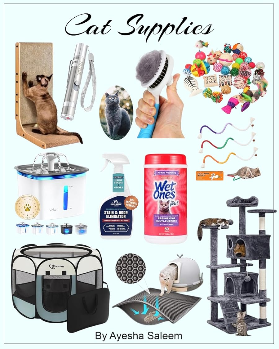 HumbleAttitude1's tweet image. Shop Amazon cat supplies 
amazon.com/shop/ayeshades…
#Ad #Amazon #amazonfinds #cat #catsupplies #cats #pets #petsupplies