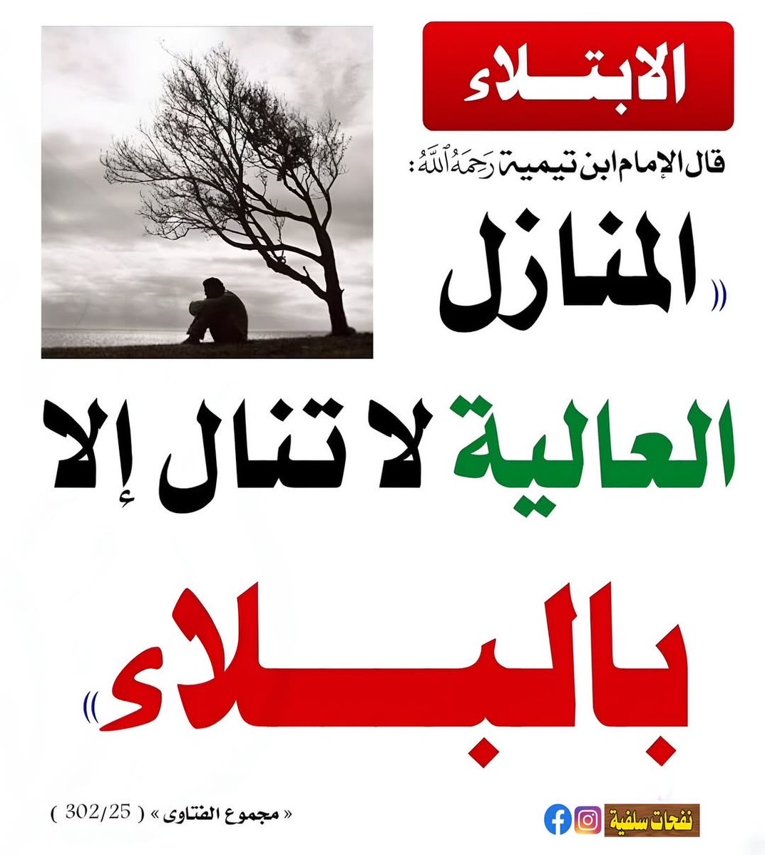 إشراقات سنية tweet media