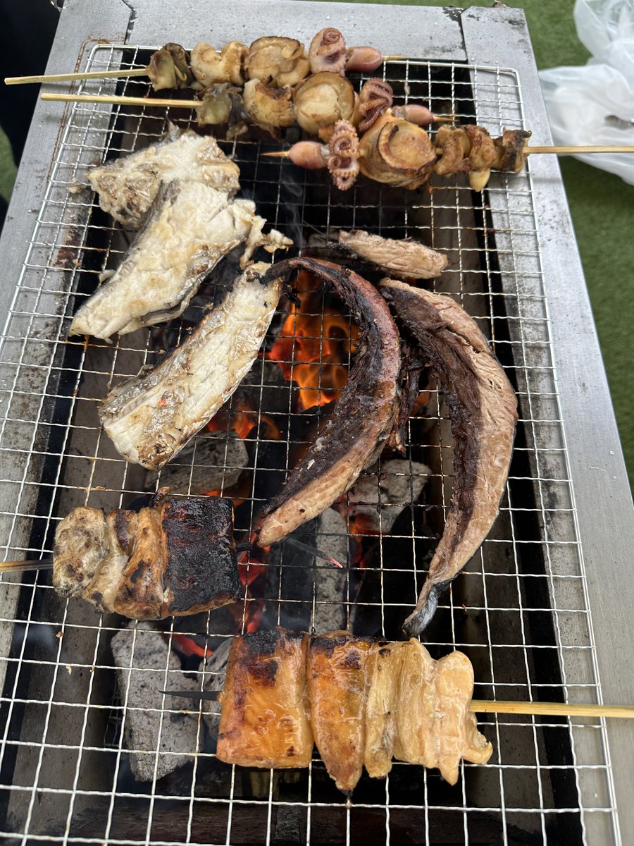 八雲 tweet media