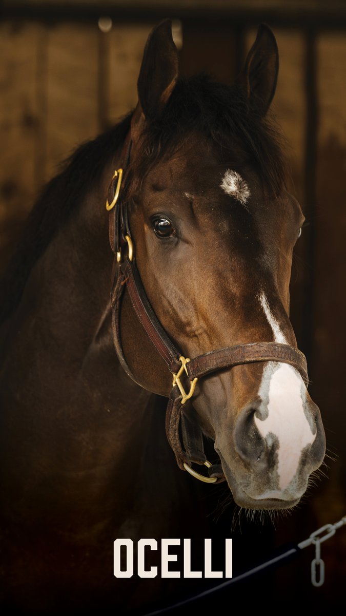 Kentucky Derby tweet media