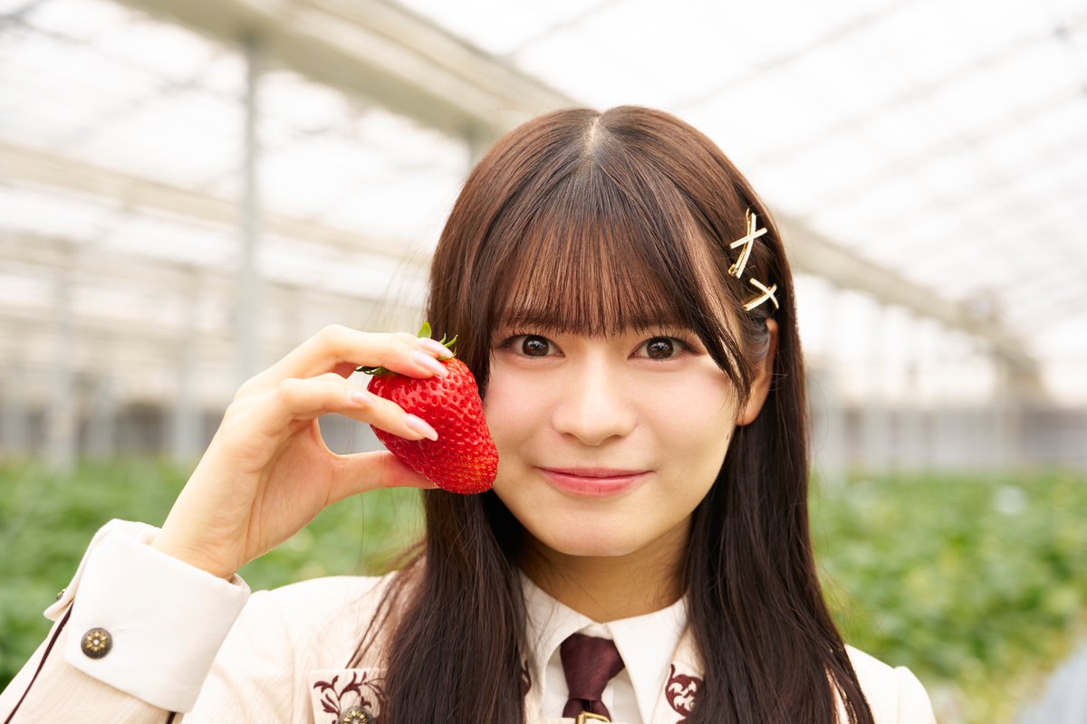 Chi_magaplus's tweet photo. GWチーマガオフショットvol.4
#BerryBeanFARM ハウスに入ればイチゴの
甘い香りが広がってます‼️
フォトスポットではイチゴの妖精になれますよ🤗
5月末まで営業予定なのでぜひお出かけ下さい🚗
#千葉東金道路大宮IC #千葉市緑区 #チーマガ
#チーマガプラスYouTube #チーマガプラスInstagram https://t.co/sooh8vd50d