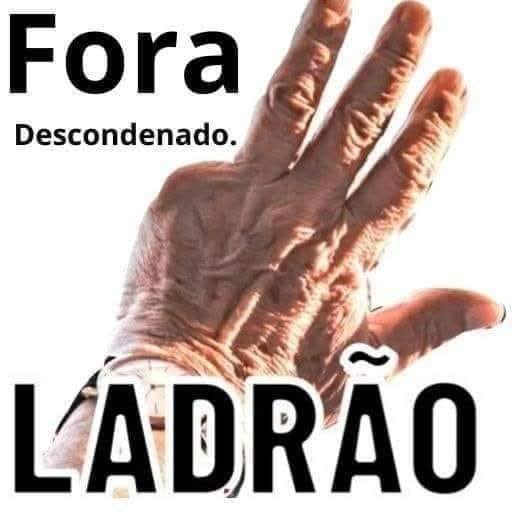 Regina Almeida 🇧🇷🇵🇹🇦🇷🇺🇸 tweet media