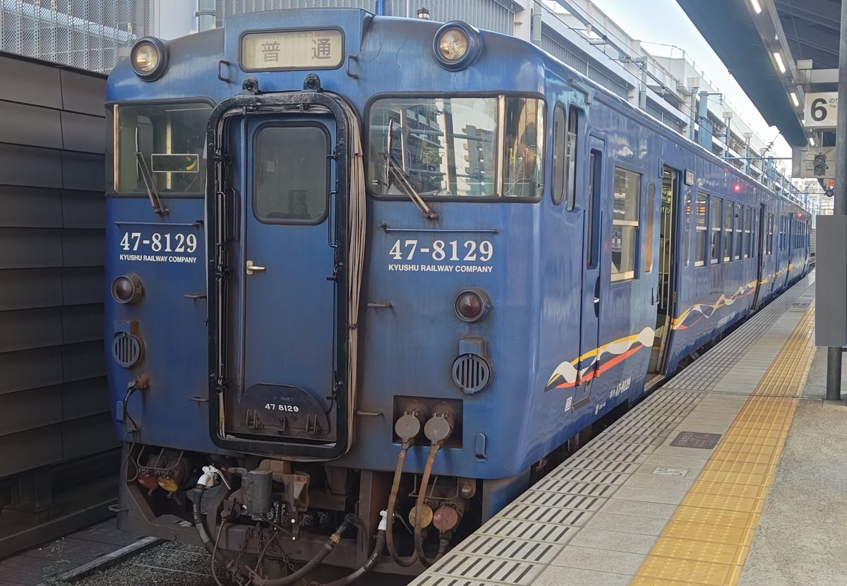 くま ケン tweet media
