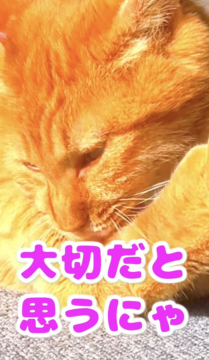 夏一（なついち） tweet media