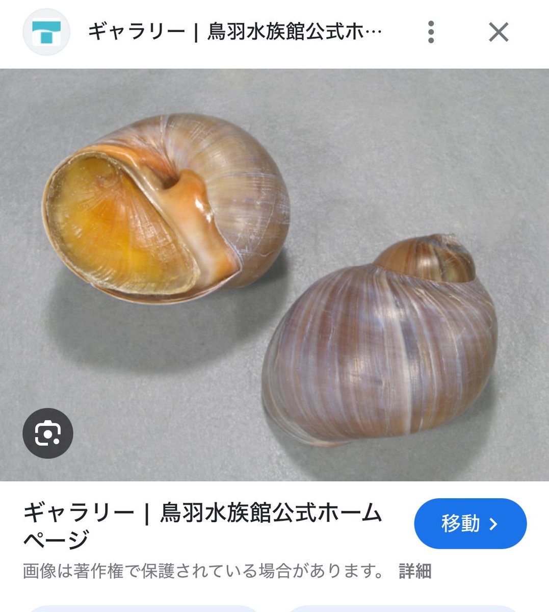 よつぎ tweet media