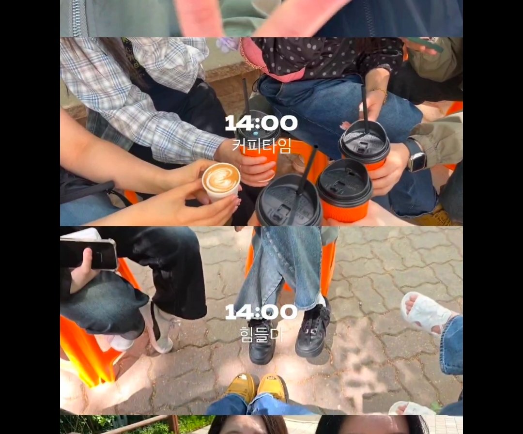 밍바오 tweet media