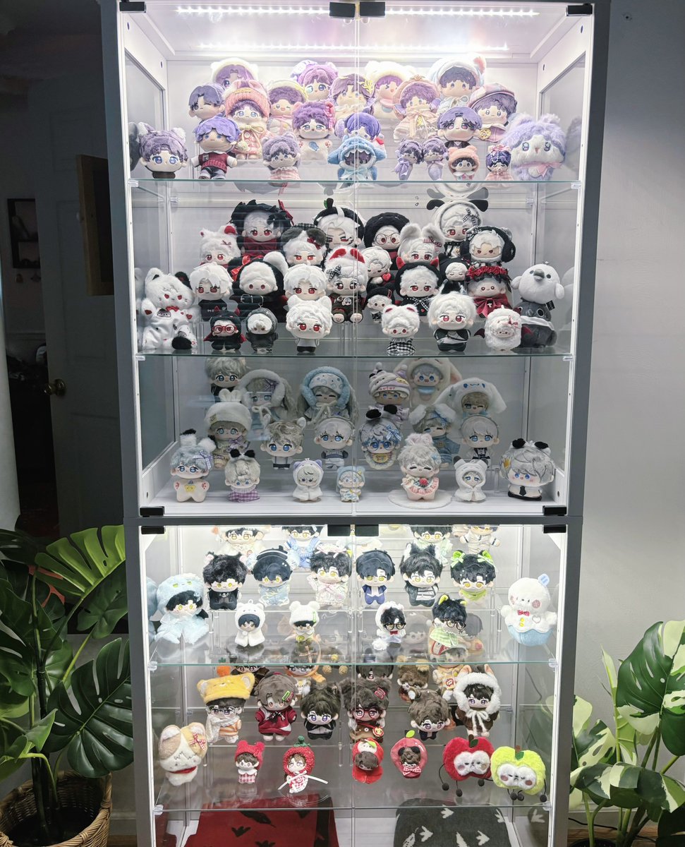SilkSaturniidae's tweet photo. I guess it’s time to get another cabinet… 🫩 https://t.co/6zbYnKrBT7