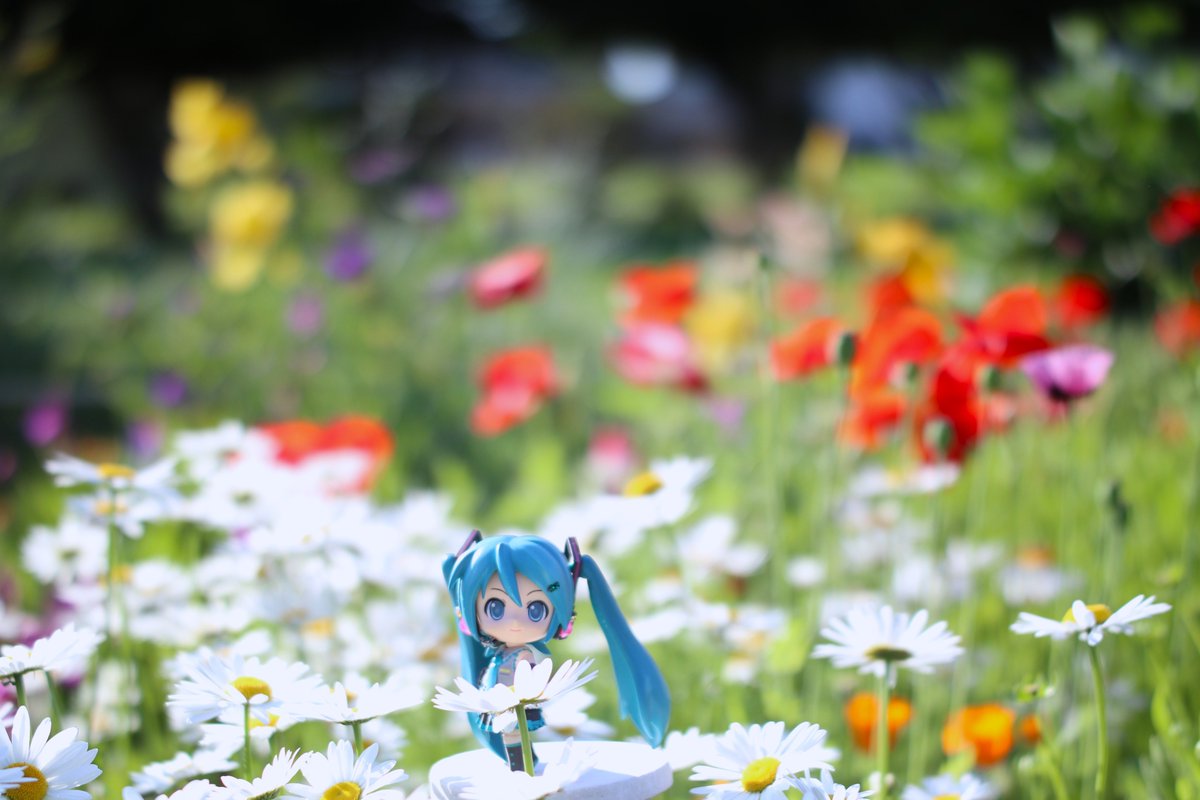 #深夜のねんどろ撮影６０分一本勝負
5/2【はなやか】「フライング」

今朝もまた華やかに彩られ✨(´▽｀*)💚