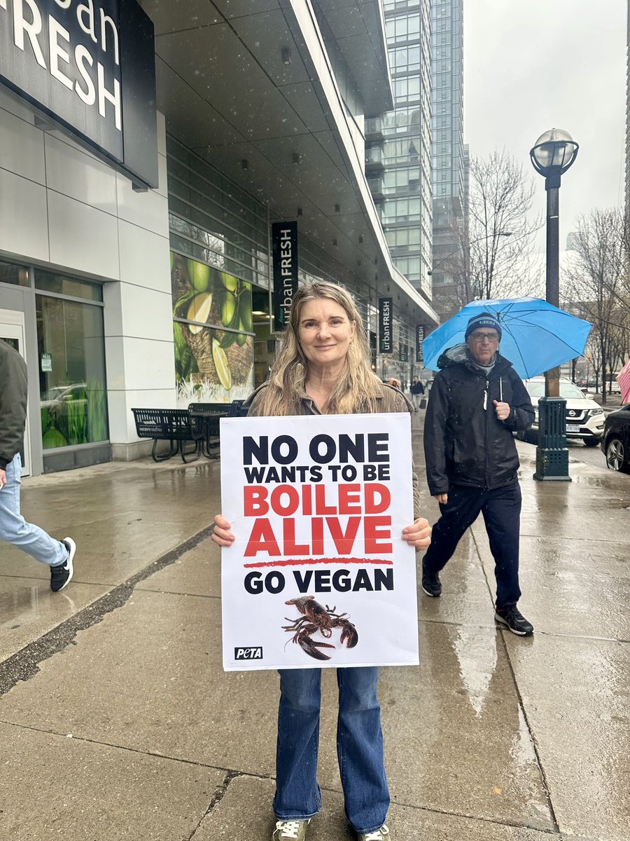 KELLI VEGAN for animals 🌱🦋💕💜 tweet media