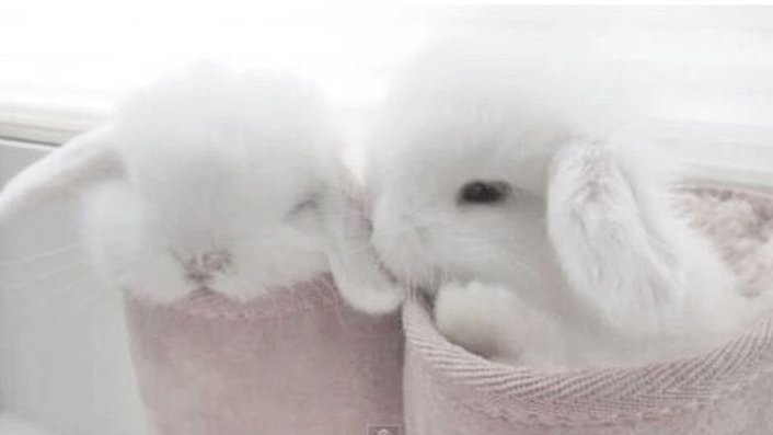 pinkucatu's tweet image. end of #thread ୭ ˚. ᵎᵎ
꒰ა 𓂋 ໒꒱  #edtwt #shedtwt